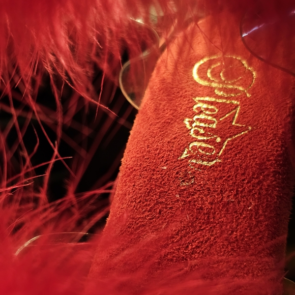 Never Worn Feathered Pleaser boots - Picture 8 of 11